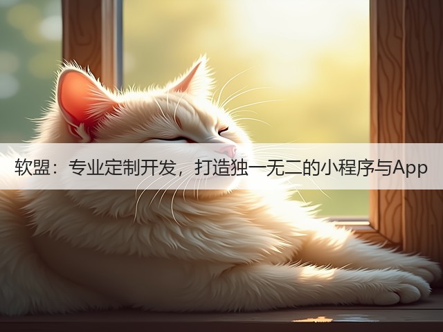 软盟:专业定制开发,打造独一无二的小程序与App(图3) 软盟:专业定制开发,打造独一无二的小程序与App(图3)