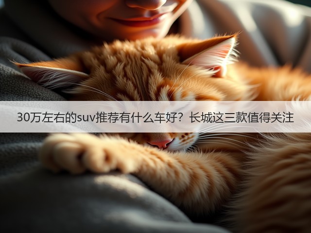30万左右的suv推荐有什么车好？长城这三款值得关注(图1)