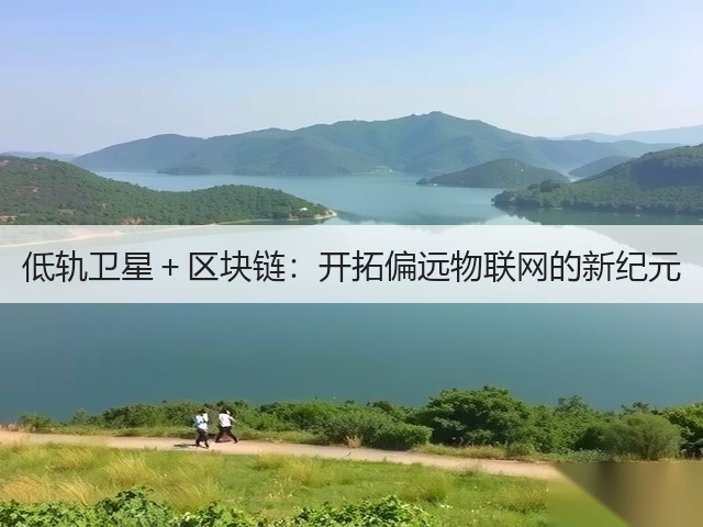 低轨卫星＋区块链：开拓偏远物联网的新纪元(图3)