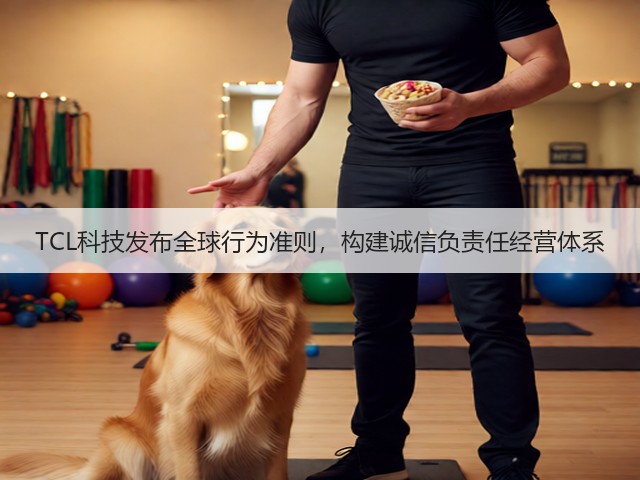 TCL科技发布全球行为准则,构建诚信负责任经营体系(图3) TCL科技发布全球行为准则,构建诚信负责任经营体系(图3)