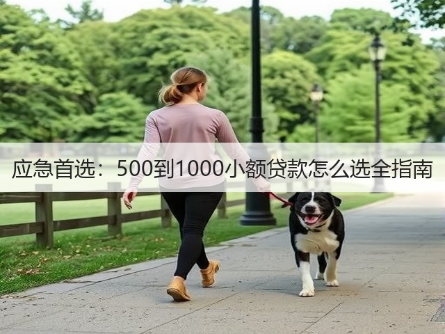 应急首选:500到1000小额贷款怎么选全指南(图1) 应急首选:500到1000小额贷款怎么选全指南(图1)