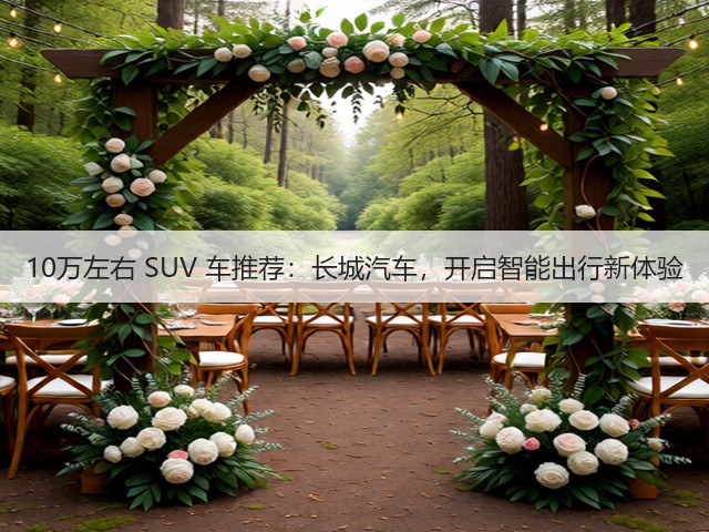 10万左右 SUV 车推荐：长城汽车，开启智能出行新体验(图3)