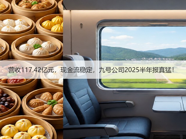 营收117.42亿元，现金流稳定，九号公司2025半年报真猛！(图2)