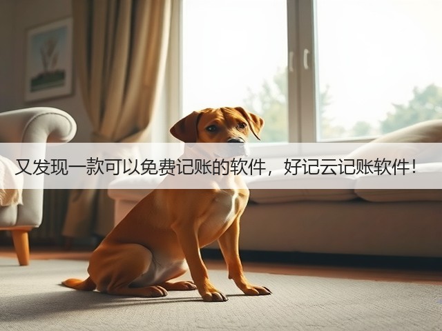 又发现一款可以免费记账的软件，好记云记账软件！(图1)