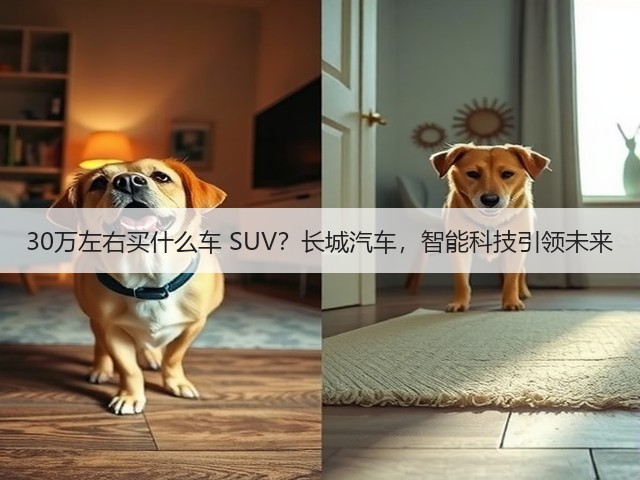 30万左右买什么车 SUV？长城汽车，智能科技引领未来(图1)