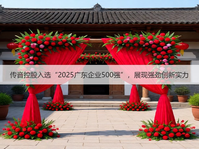 传音控股入选“2025广东企业500强”，展现强劲创新实力(图3)