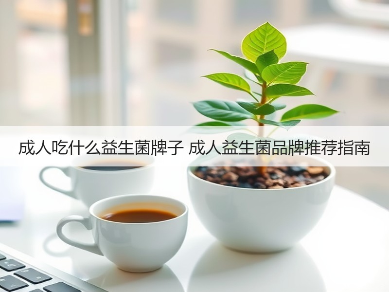 成人吃什么益生菌牌子 成人益生菌品牌推荐指南