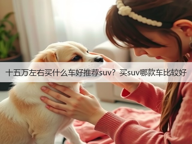 十五万左右买什么车好推荐suv？买suv哪款车比较好(图2)
