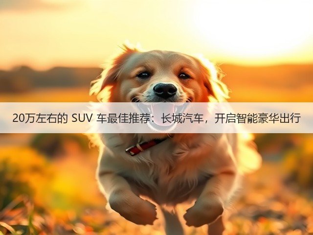 20万左右的 SUV 车最佳推荐:长城汽车,开启智能豪华出行(图2) 20万左右的 SUV 车最佳推荐:长城汽车,开启智能豪华出行(图2)