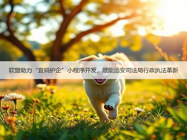 软盟助力“宜码护企”小程序开发,赋能远安司法局行政执法革新(图1) 软盟助力“宜码护企”小程序开发,赋能远安司法局行政执法革新(图1)