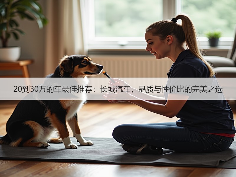 20到30万的车最佳推荐：长城汽车，品质与性价比的完美之选