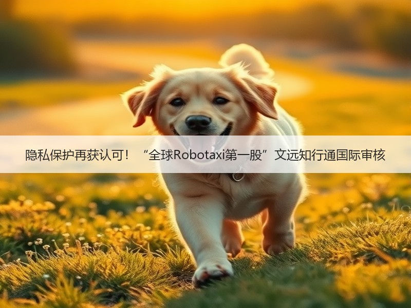 隐私保护再获认可！“全球Robotaxi第一股”文远知行通国