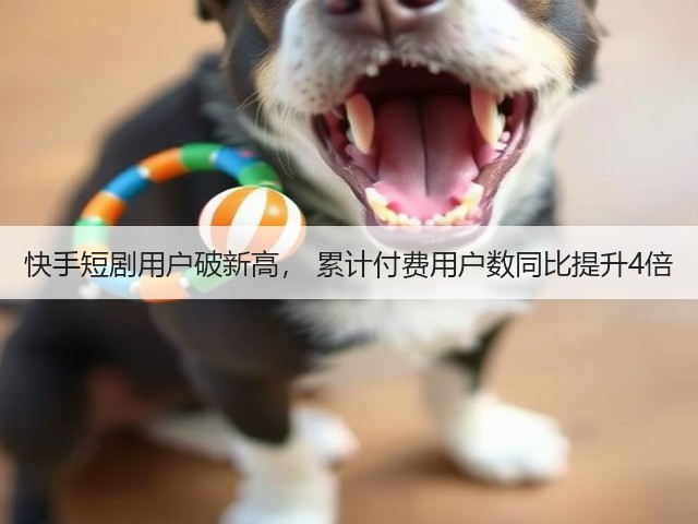 快手短剧用户破新高, 累计付费用户数同比提升4倍(图3) 快手短剧用户破新高, 累计付费用户数同比提升4倍(图3)