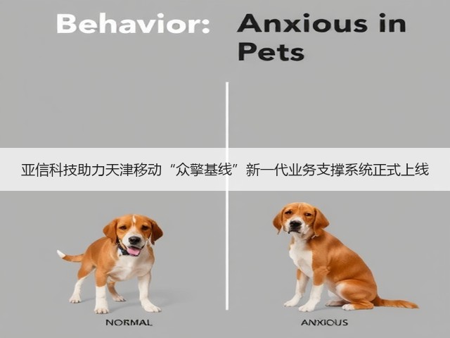 亚信科技助力天津移动“众擎基线”新一代业务支撑系统正式上线(图2)