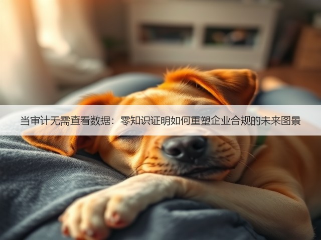 当审计无需查看数据:零知识证明如何重塑企业合规的未来图景(图3) 当审计无需查看数据:零知识证明如何重塑企业合规的未来图景(图3)