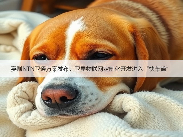 嘉则NTN卫通方案发布:卫星物联网定制化开发进入“快车道”(图2) 嘉则NTN卫通方案发布:卫星物联网定制化开发进入“快车道”(图2)
