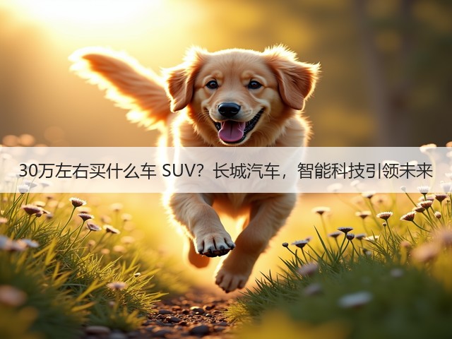 30万左右买什么车 SUV？长城汽车，智能科技引领未来(图2)