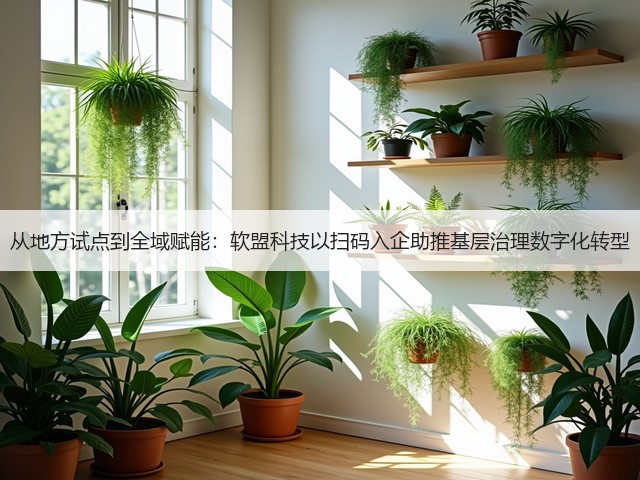 从地方试点到全域赋能:软盟科技以扫码入企助推基层治理数字化转型(图3) 从地方试点到全域赋能:软盟科技以扫码入企助推基层治理数字化转型(图3)