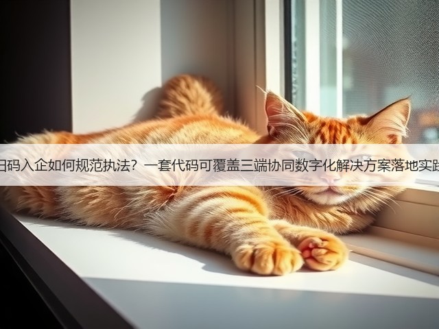 扫码入企如何规范执法?一套代码可覆盖三端协同数字化解决方案落地实践(图1) 扫码入企如何规范执法?一套代码可覆盖三端协同数字化解决方案落地实践(图1)