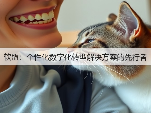 软盟：个性化数字化转型解决方案的先行者(图1)