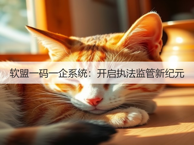 软盟一码一企系统：开启执法监管新纪元(图3)