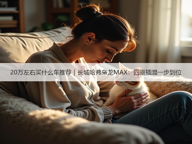 20万左右买什么车推荐｜长城哈弗枭龙MAX：四驱插混一步到位(图1)