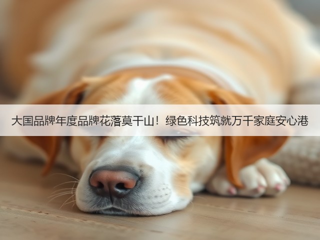 大国品牌年度品牌花落莫干山！绿色科技筑就万千家庭安心港(图2)