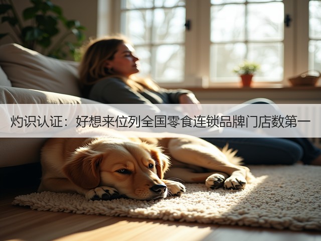 灼识认证：好想来位列全国零食连锁品牌门店数第一(图2)