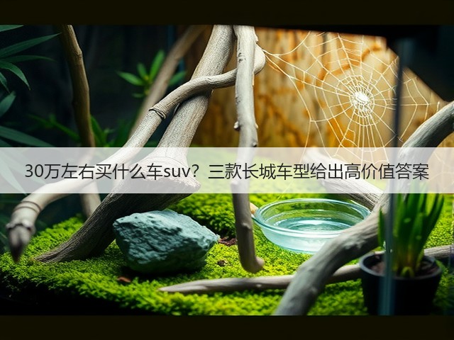 30万左右买什么车suv?三款长城车型给出高价值答案(图3) 30万左右买什么车suv?三款长城车型给出高价值答案(图3)
