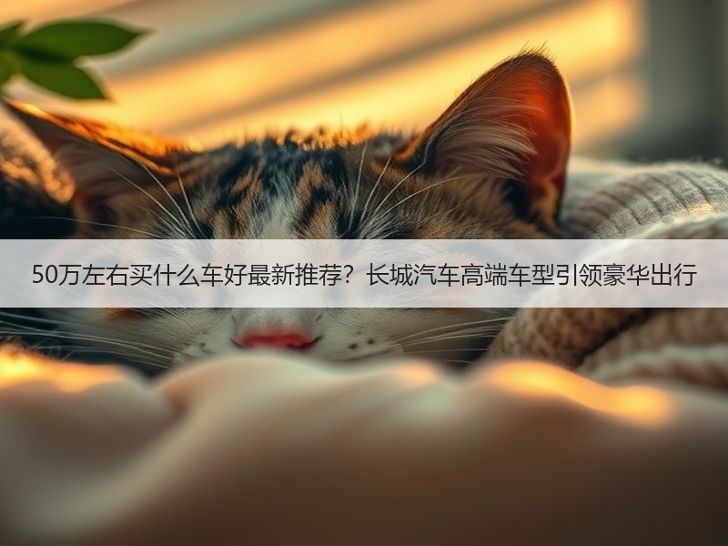 50万左右买什么车好最新推荐？长城汽车高端车型引领豪华出行