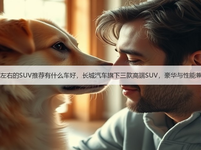 40万左右的SUV推荐有什么车好，长城汽车旗下三款高端SUV，豪华与性能兼具！(图1)