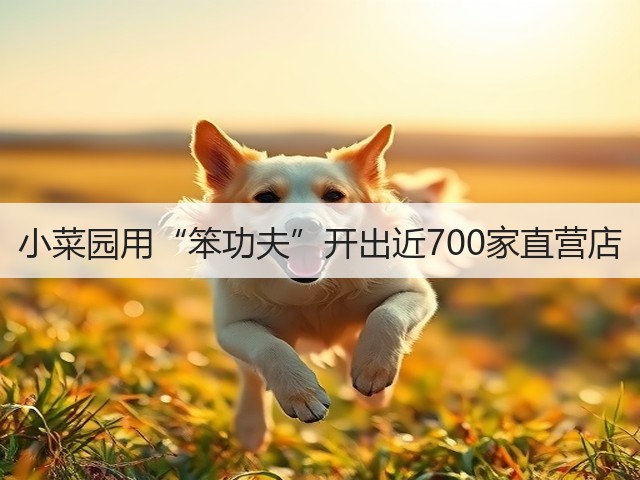 小菜园用“笨功夫”开出近700家直营店(图3)