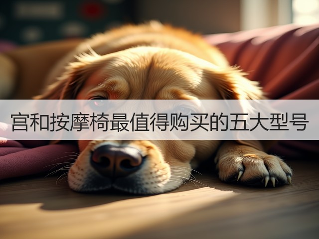宫和按摩椅最值得购买的五大型号(图1) 宫和按摩椅最值得购买的五大型号(图1)