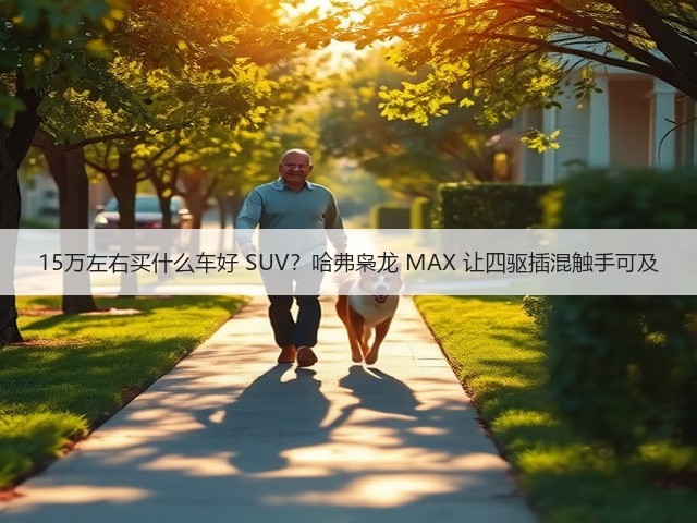 15万左右买什么车好 SUV？哈弗枭龙 MAX 让四驱插混触手可及(图1)