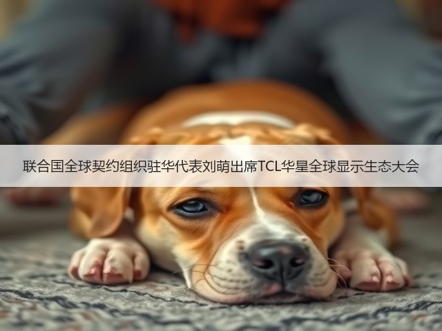 联合国全球契约组织驻华代表刘萌出席TCL华星全球显示生态大会(图3)