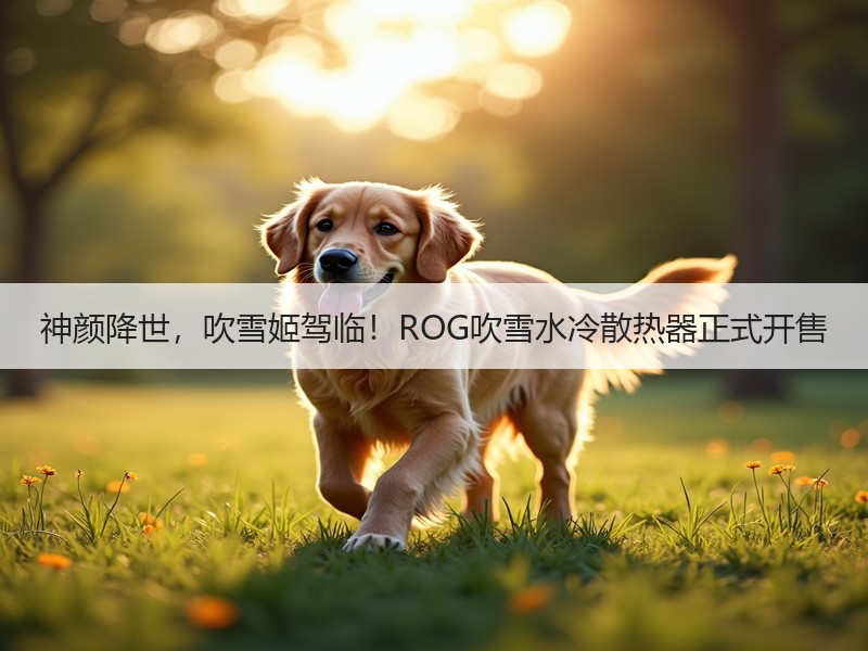 神颜降世，吹雪姬驾临！ROG吹雪水冷散热器正式开售