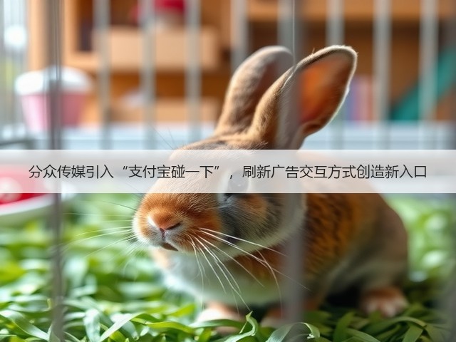 分众传媒引入“支付宝碰一下”，刷新广告交互方式创造新入口(图3)