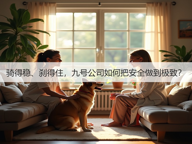 骑得稳、刹得住，九号公司如何把安全做到极致？