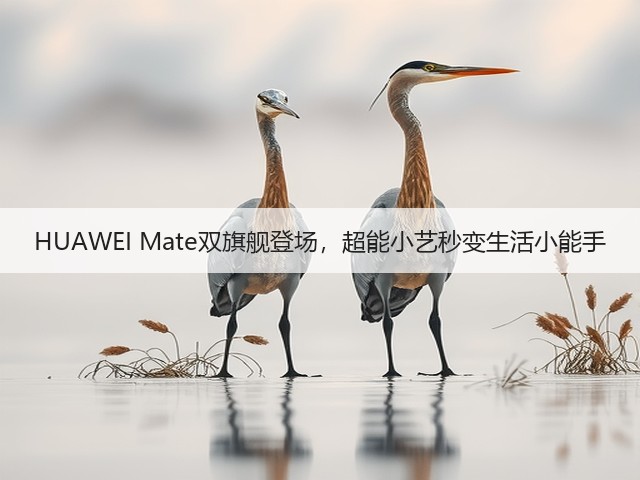 HUAWEI Mate双旗舰登场，超能小艺秒变生活小能手(图3)