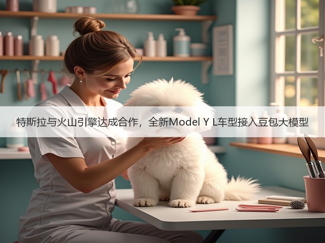 特斯拉与火山引擎达成合作，全新Model Y L车型接入豆包大模型(图3)